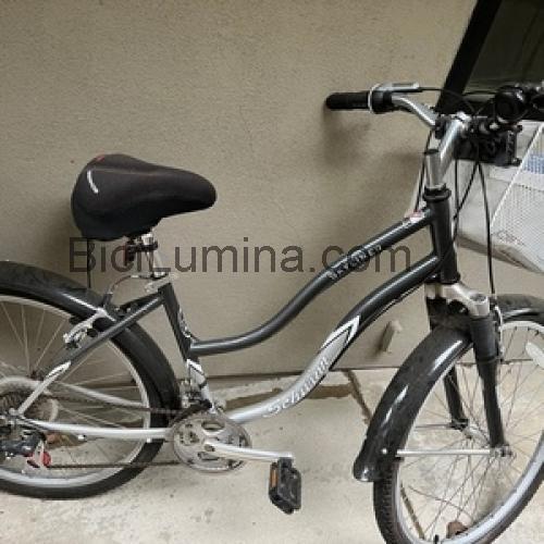 Schwinn Skyliner ficha técnica y opiniones